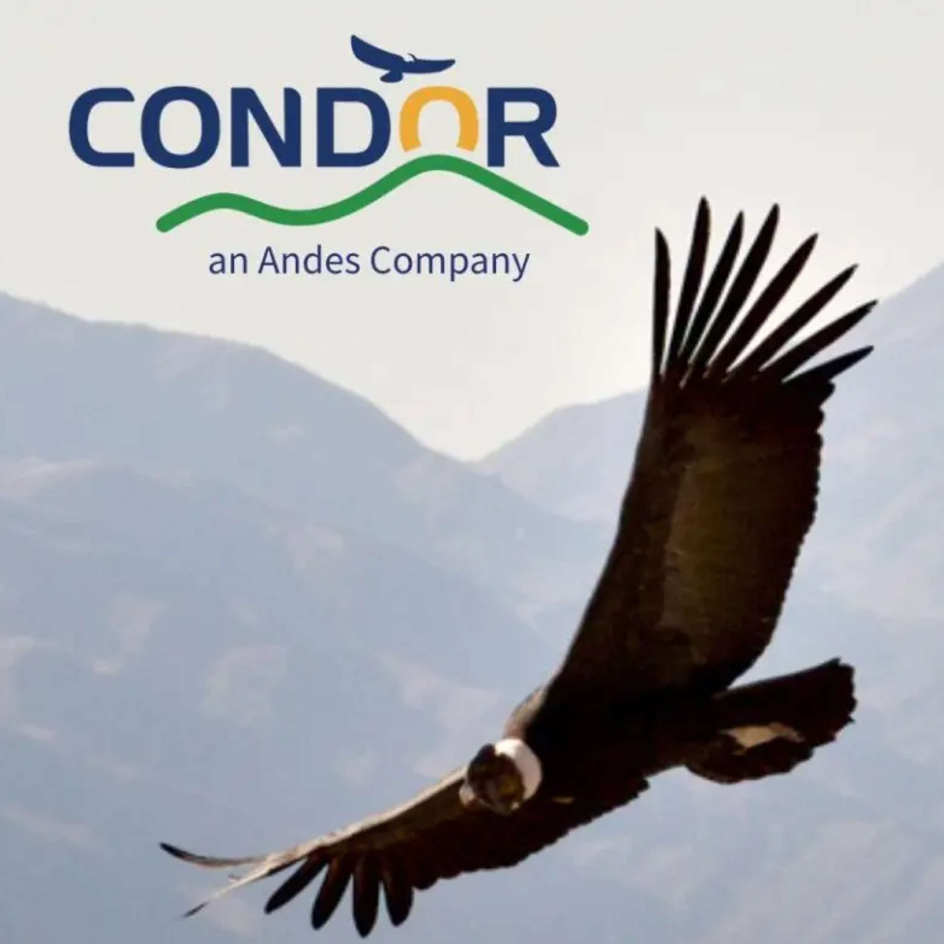 Condor Currents